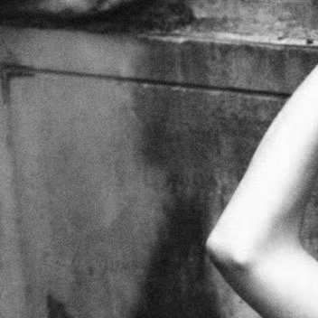 0000石蒜种植一、种植准备选择排水良好、疏松肥沃的微酸性砂质土壤，种植地宜半阴