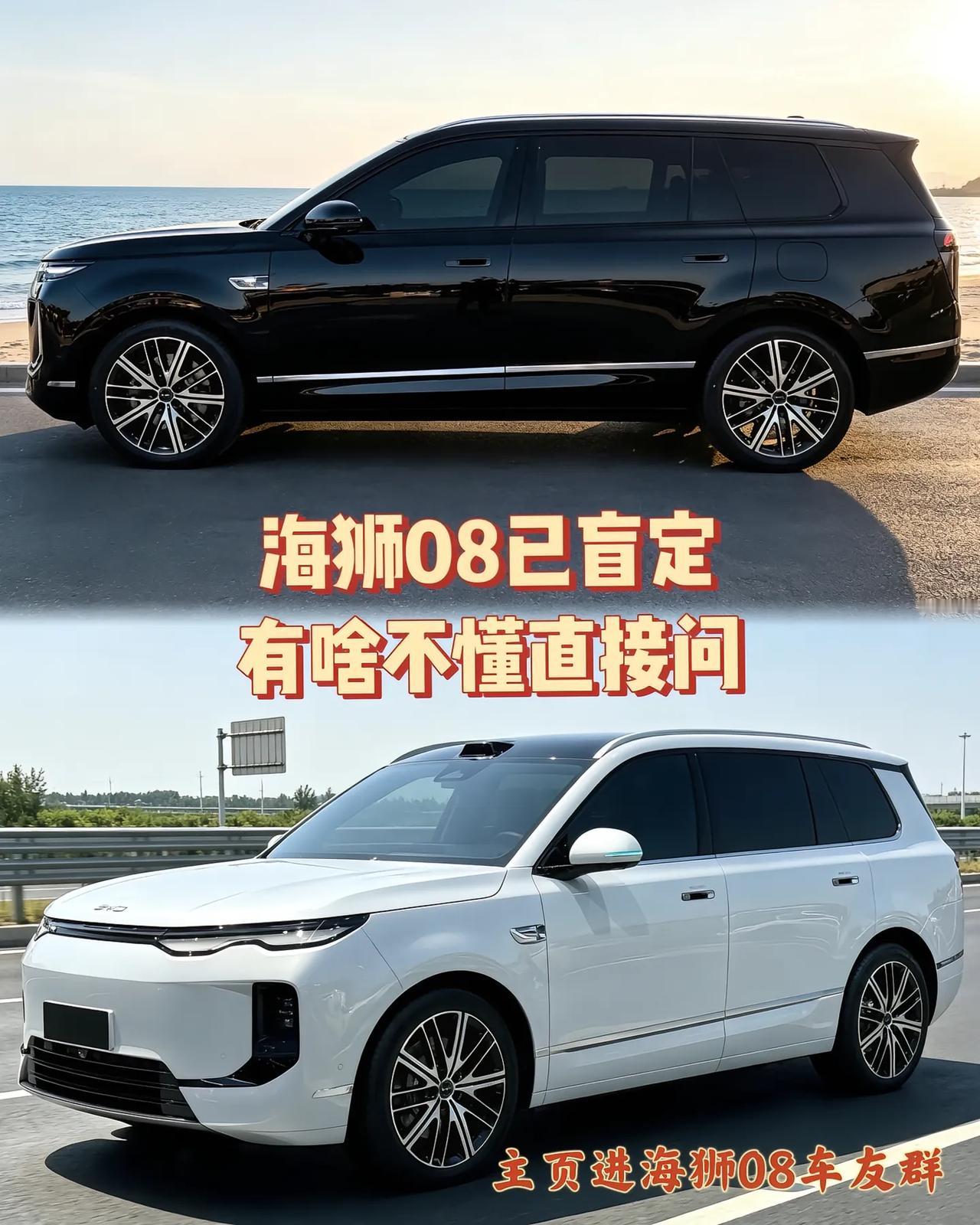 刷了这么多海狮08的内容，发现网上的看法真的撕裂得厉害。我现在预算留出来了，就等