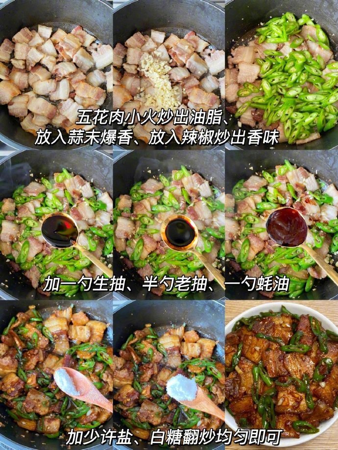 家常菜巨香巨好吃的辣椒炒肉​​​