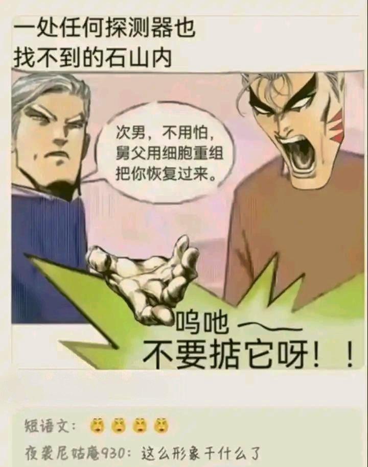 我还真没看过这个作品，这是梗吗
