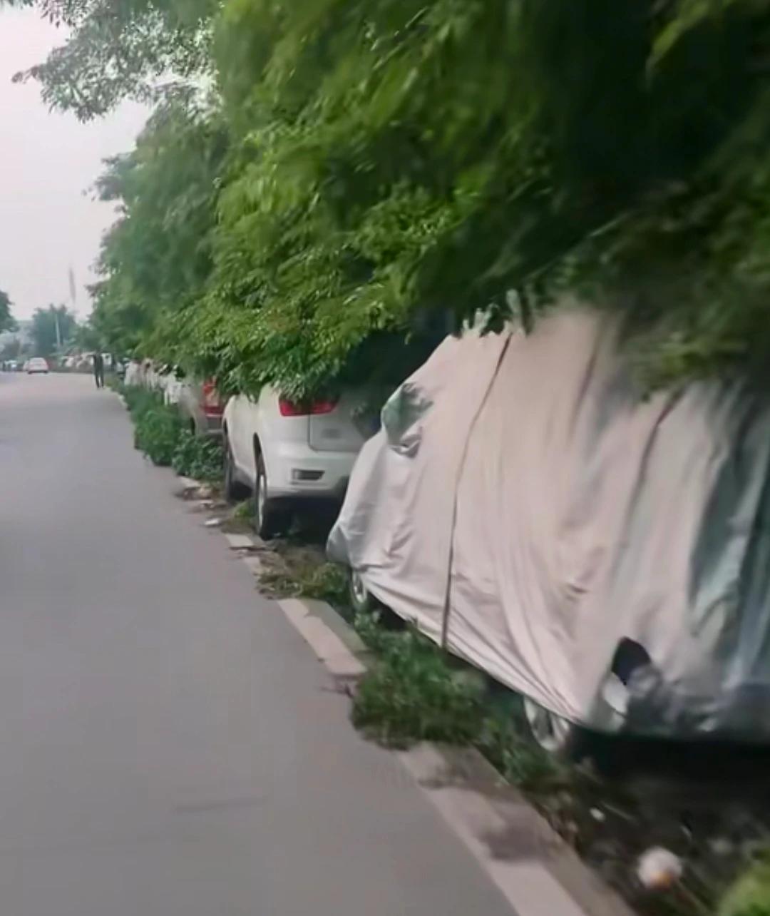 国内大大小小的城市普遍都有这类困扰，临时找一处合适的停车位格外费劲，不少公共车位
