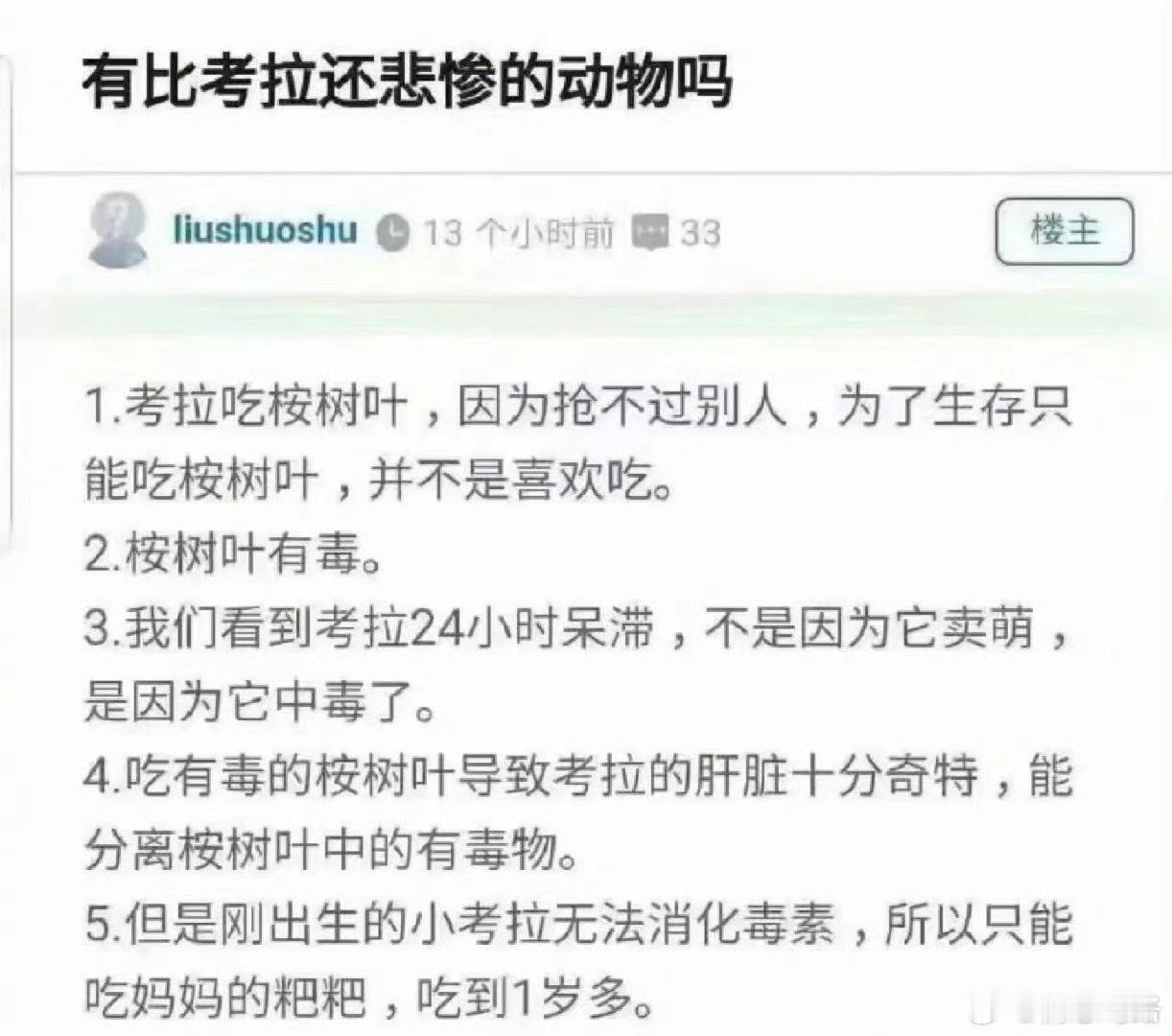 原来考拉这么悲惨……​​​