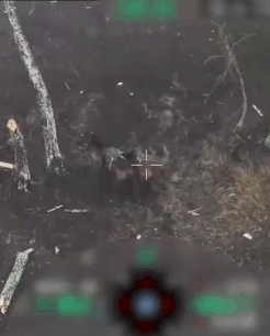 乌克兰第1独立突击团击退了俄军骑兵进攻，并缴获了2匹上等好马。能将骑兵“去军事化