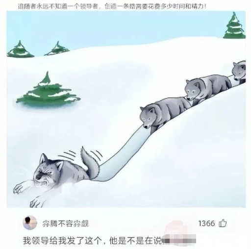 我领导给我发了这个