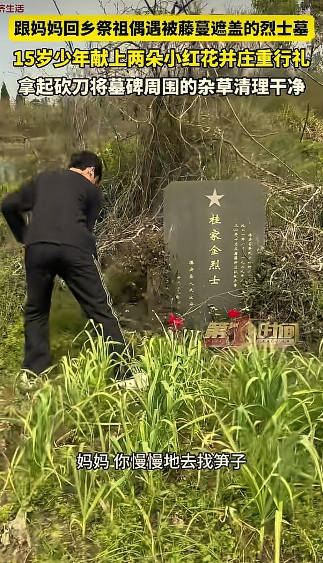 “太懂事了！”江西九江，一女子带15岁儿子回乡上山祭祖，意外在途中发现一座长满藤