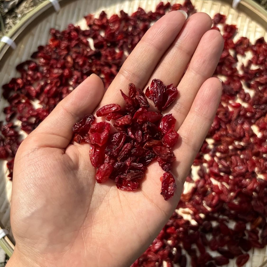 这张方子比金子还珍贵，横扫下焦瘀堵，固摄精关，见效奇快，立竿见影。大家好，