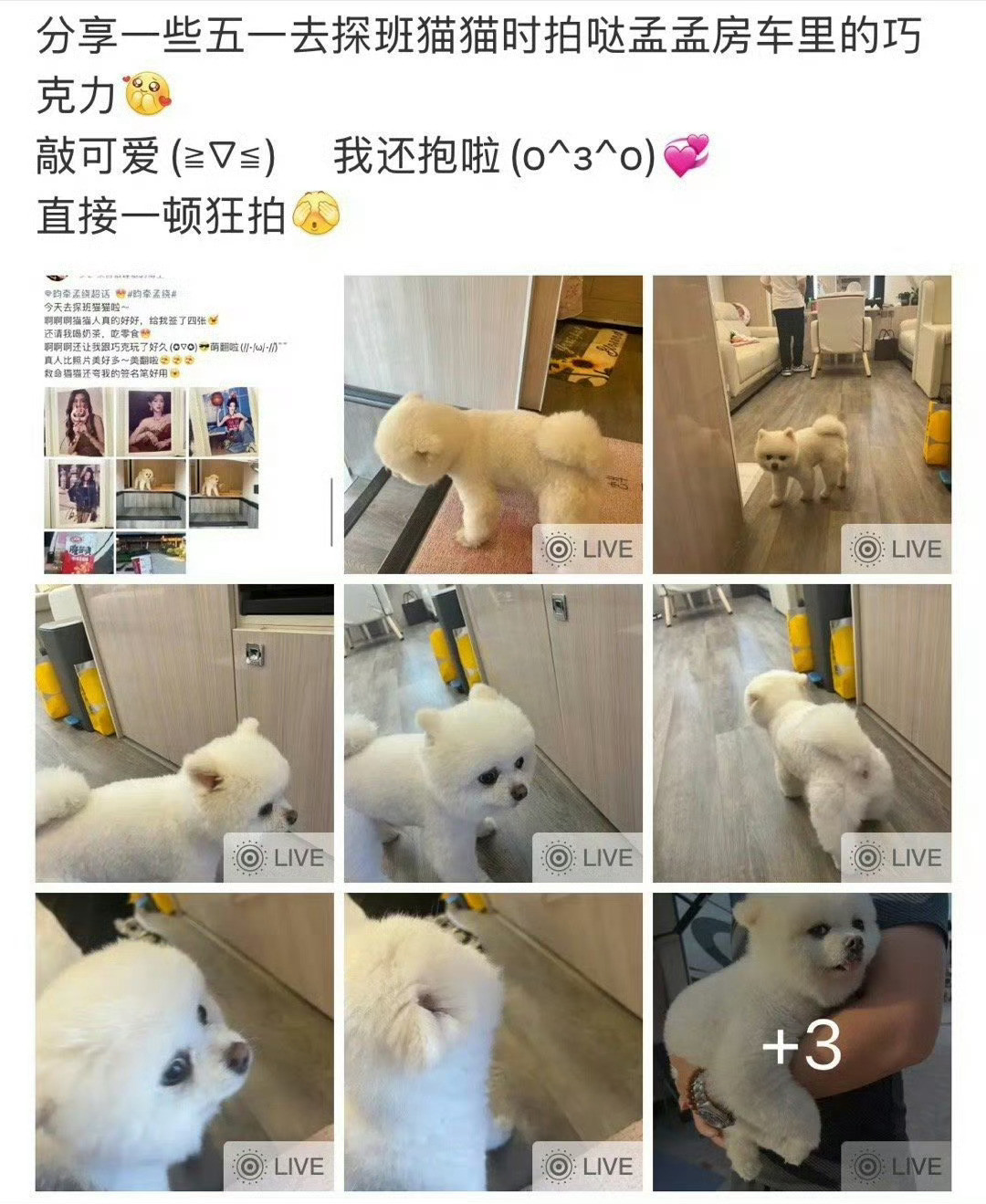 孟子义经纪人道歉这个小朋友的爸爸妈妈99.99%是大佬啦，要是普通粉丝早就被保安