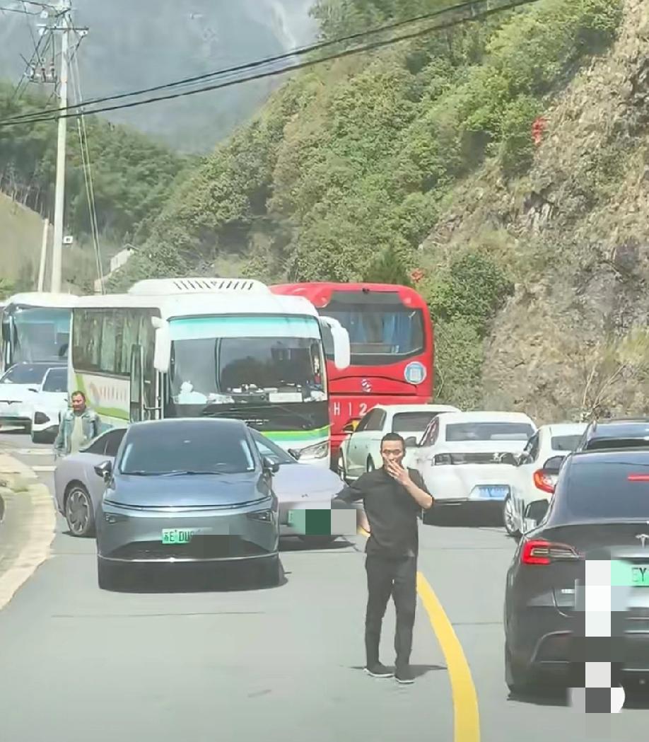 4月4日，浙江杭州。一景点附近，一辆苏E牌照的小车直接停在狭窄的山路中央，车主却