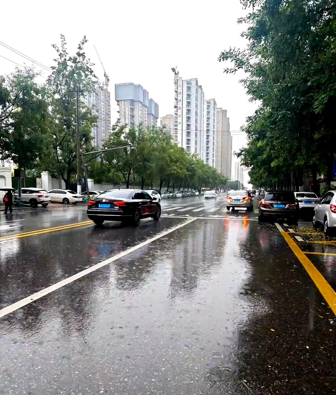 西安已经连下38天的雨了。西安是遭天谴了嘛……九月份到现在雨一直下个不停，夏