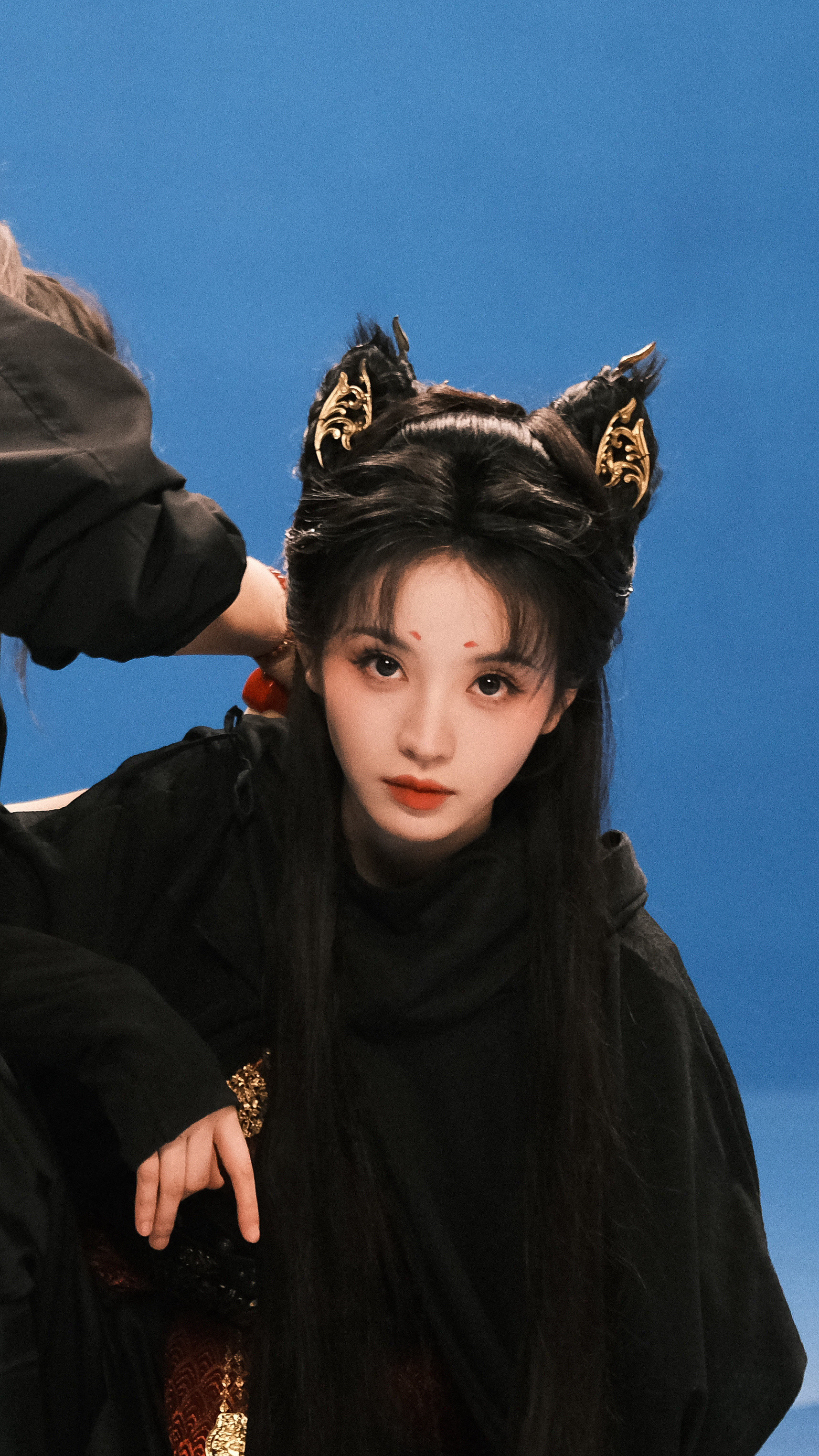 猫公大人我愿为你效犬马之劳​​​