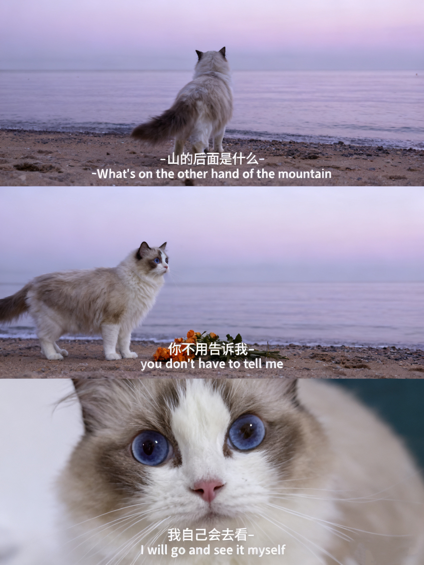 -山的后面是什么-​​​