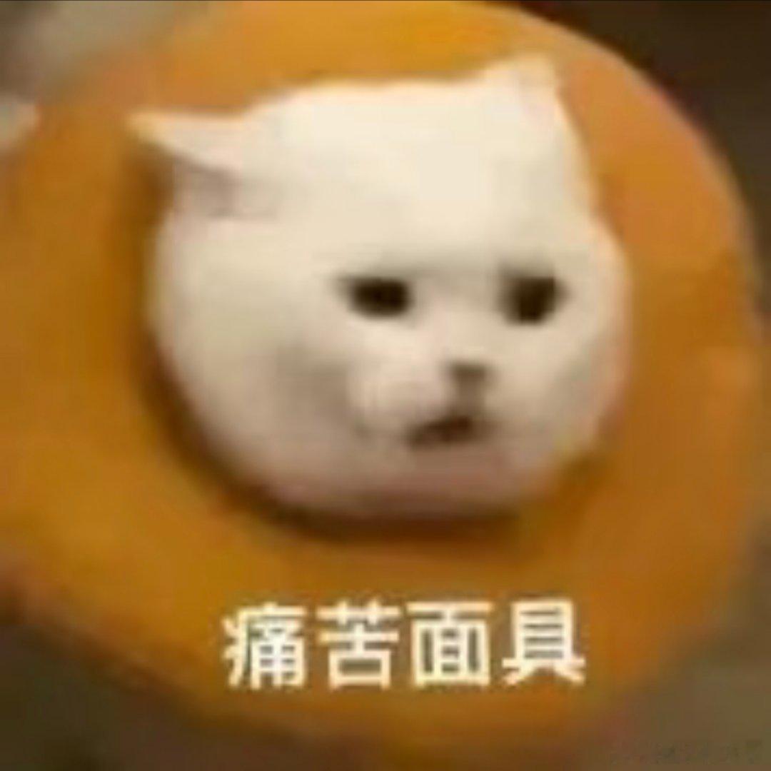 可爱猫咪表情包。