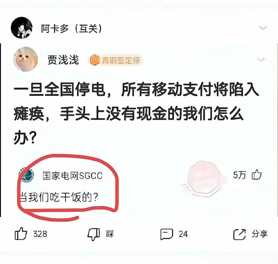网友发问全国停电无现金咋办？国家电网一句回复，藏着满满的底气刷到一条特别有