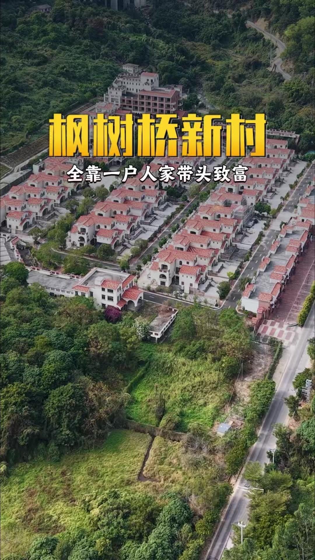 广东饶平第一村有多团结？🌾广东饶平新丰镇的枫树桥新村，从过去为生计发愁，到如今