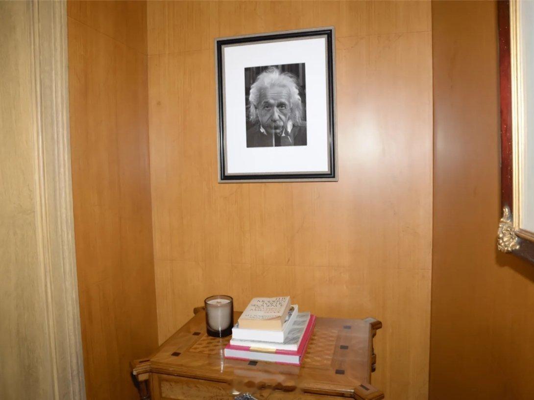 爱泼斯坦在萝莉岛上挂了一张爱因斯坦的画像。算了，你肯定觉得没意思…