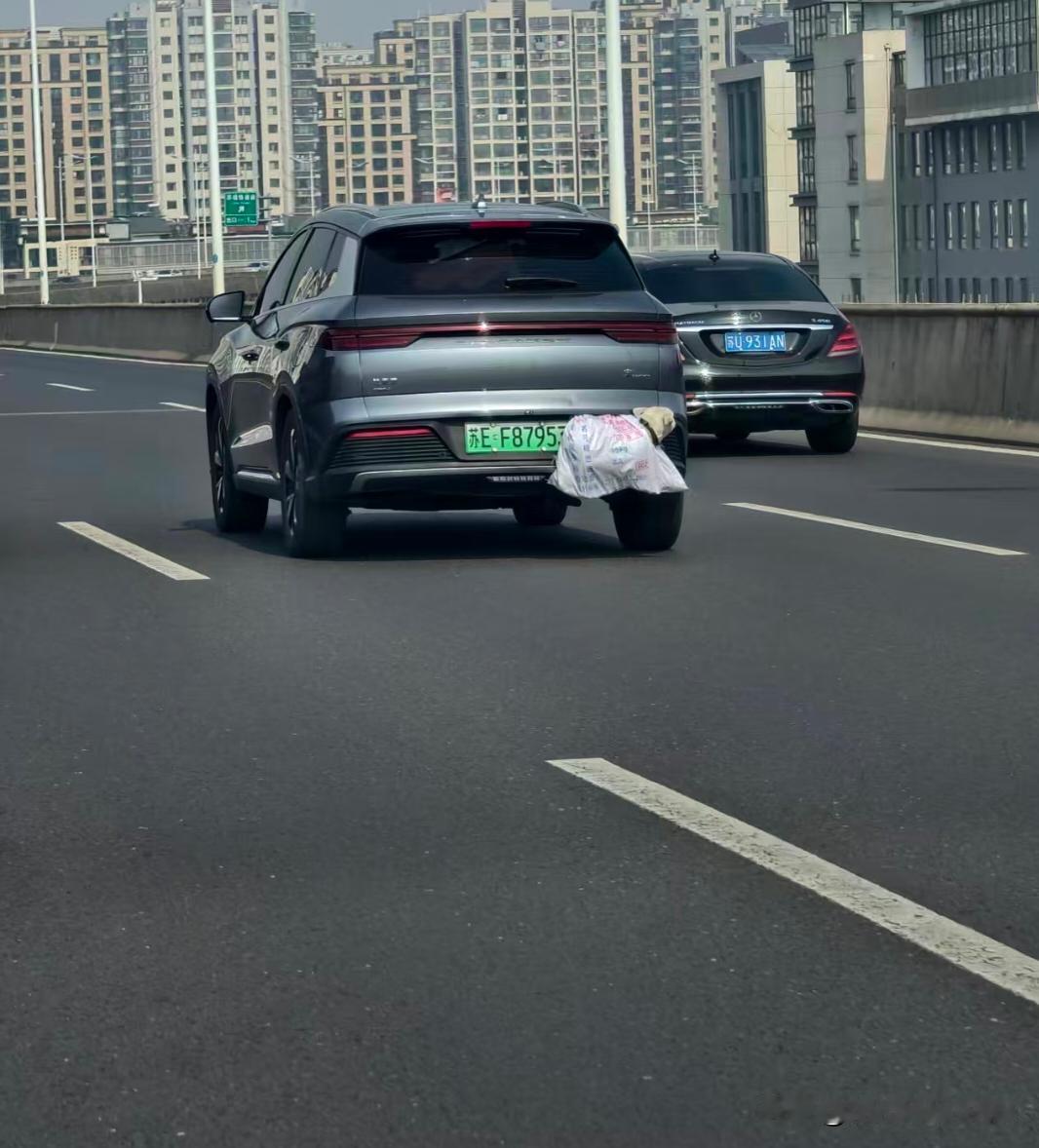 这待遇估计是过年加餐的节奏？