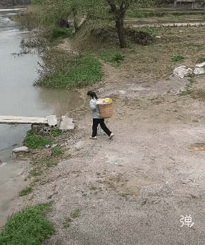 说实话，我一个大男人都不敢过这个桥