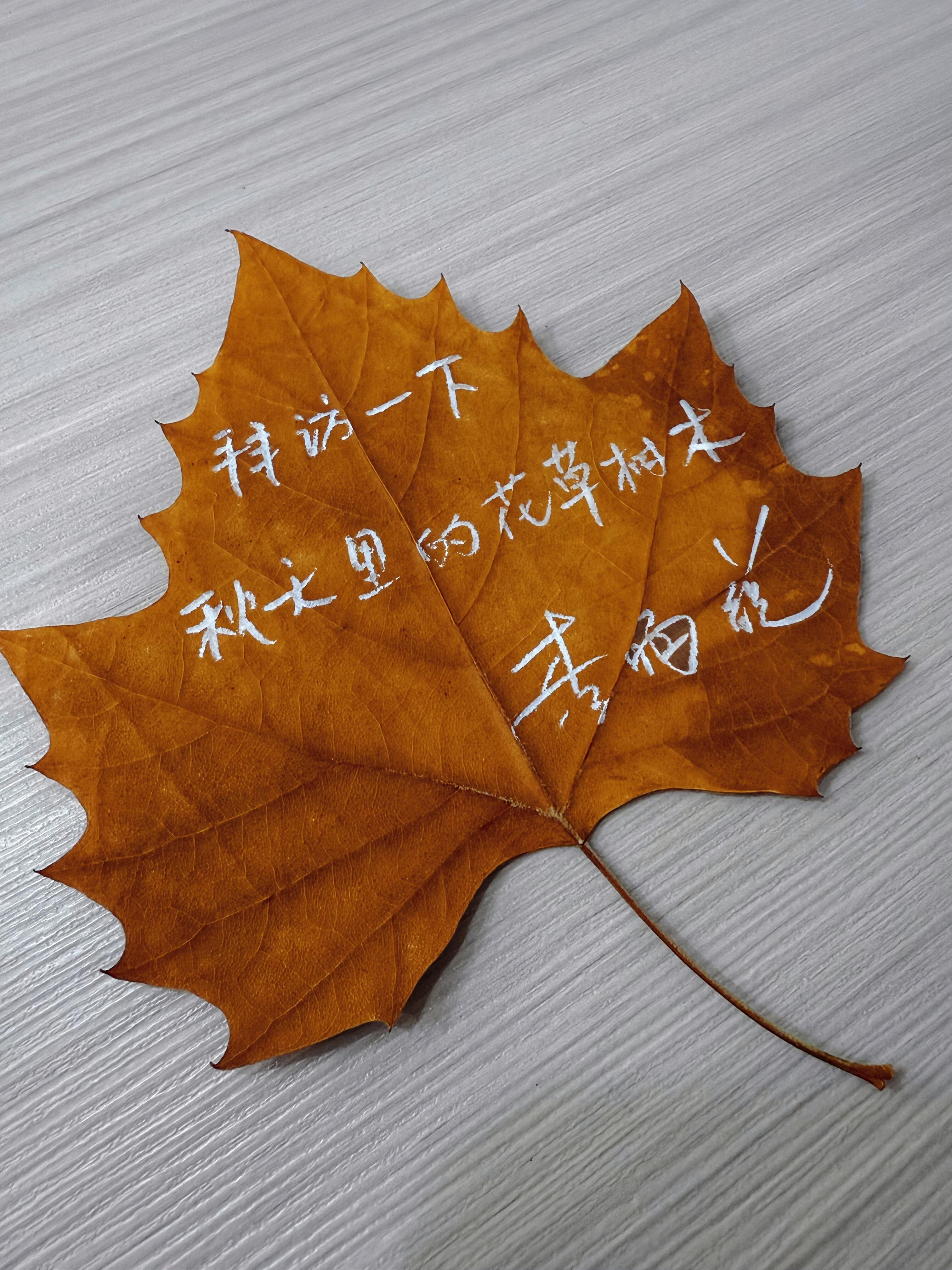 很少夸明星字好看，但是李昀锐的字真的很漂亮。还很会拍，审美很好的大帅哥。​​​