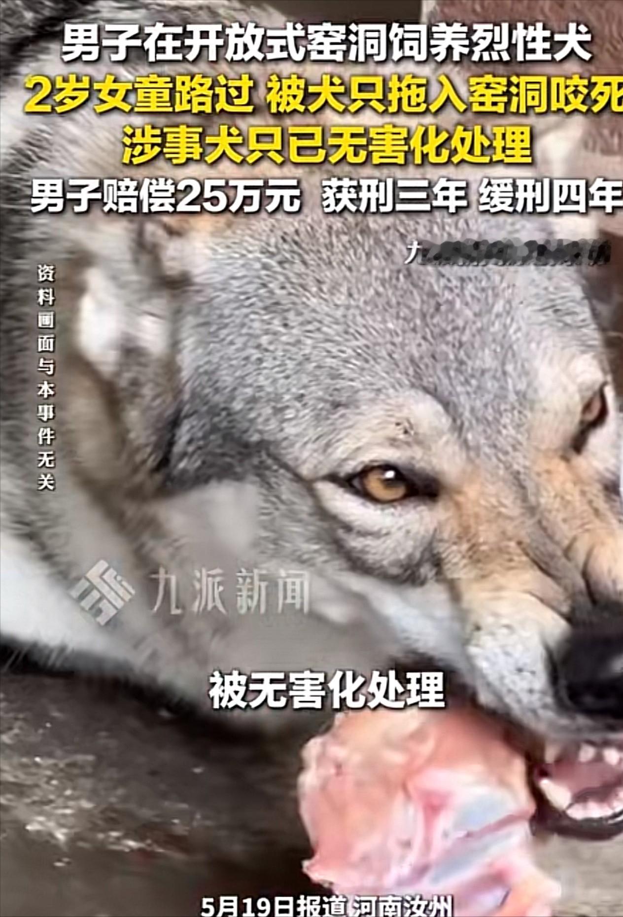 “令人发指！”河南省汝州，48岁男子在自家窑洞里养了一只捷克狼犬，吓得街坊四邻都