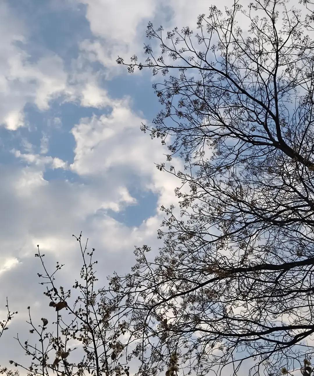 市民元旦前把房贷清零，以为从此房子彻底归自己，结果银行递来一张结清证明，提醒还得