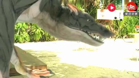 10550434215212070769.jpg?id=0