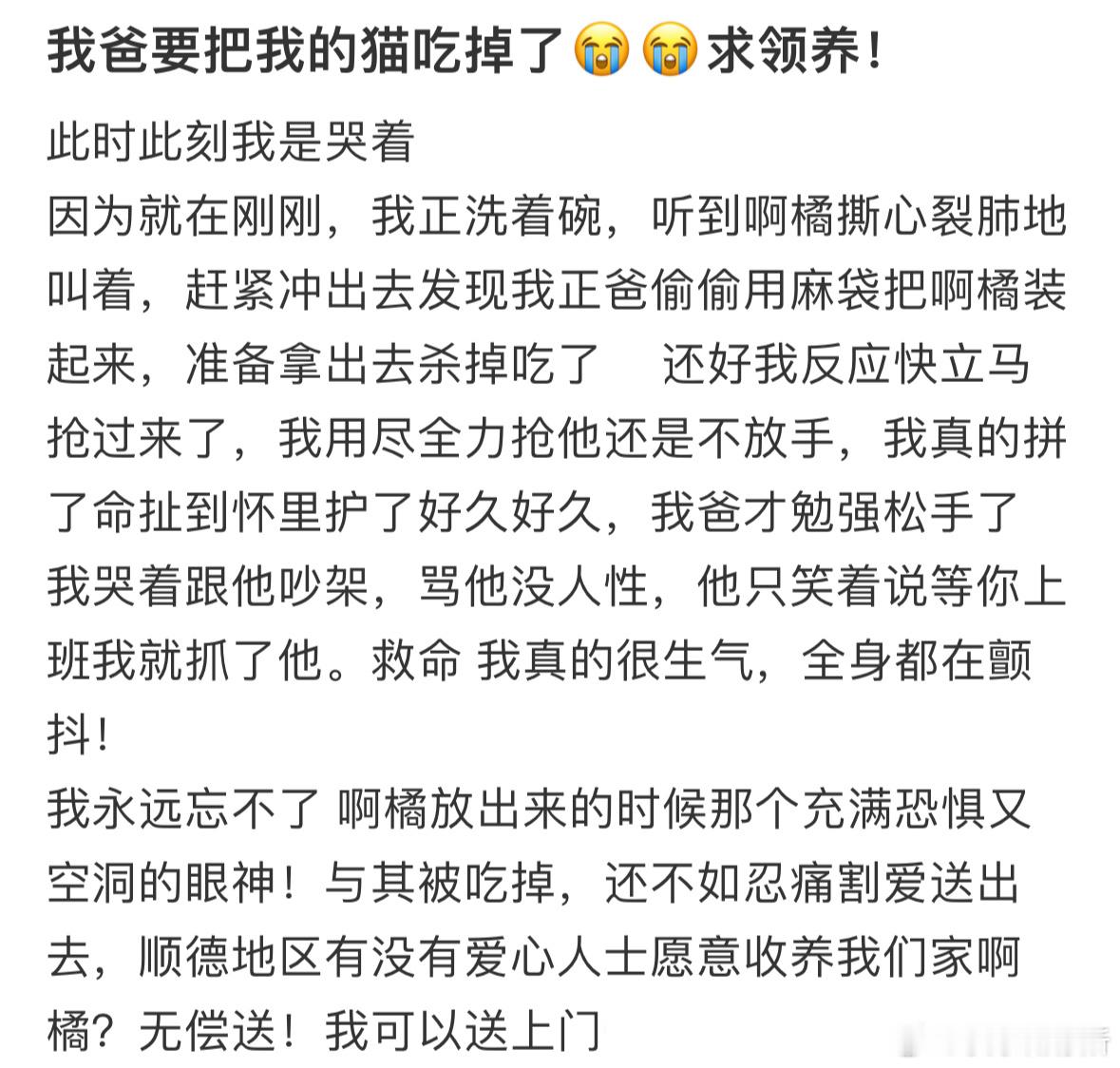 我爸要把我的猫吃掉了​​​