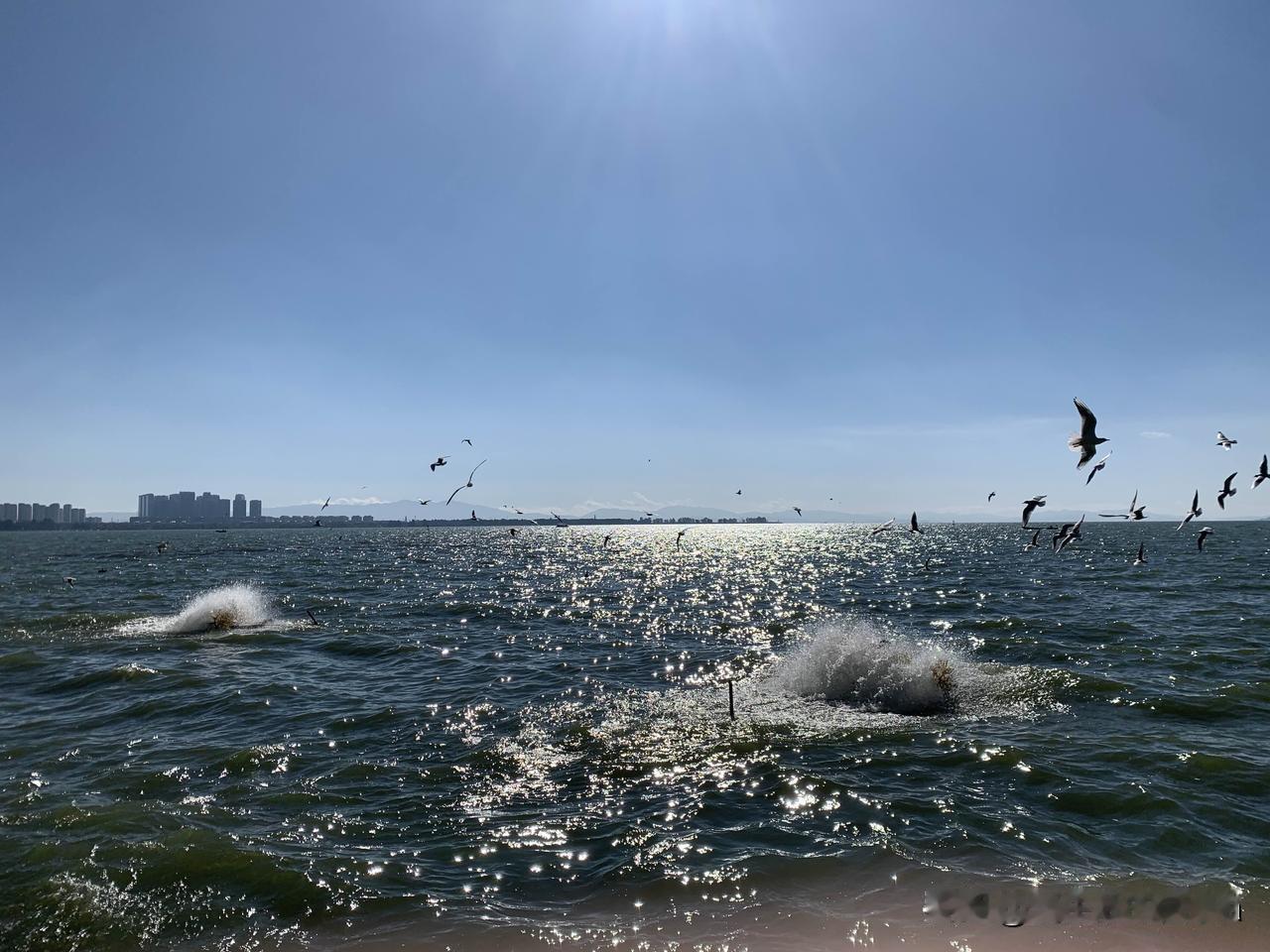 这是云南昆明滇池，美吧？美得没话说了[赞]