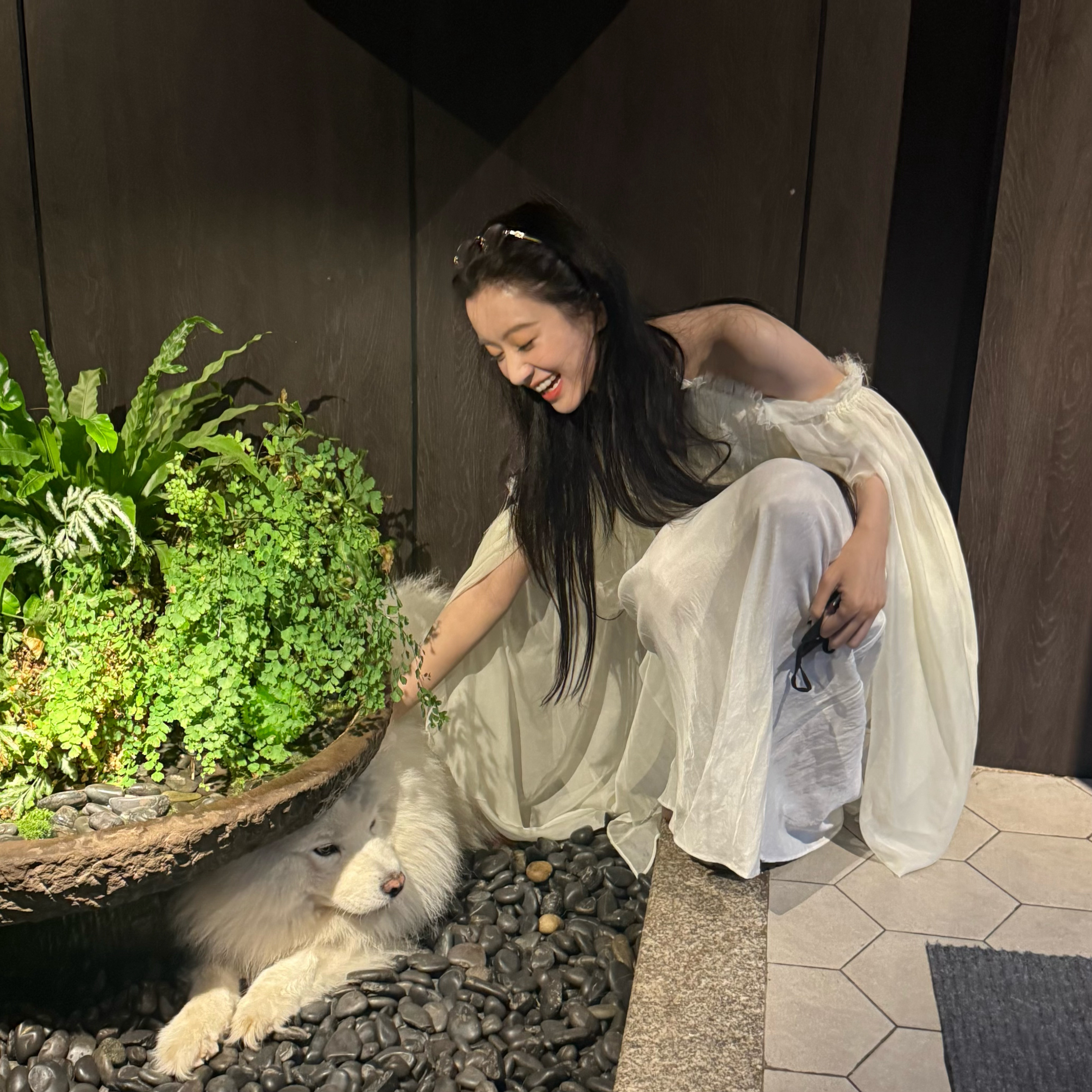 活力翻倍计划偶遇一只大白​​​
