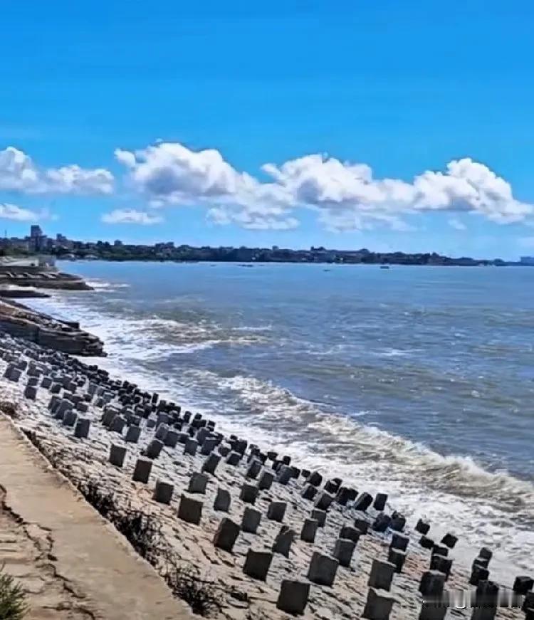 晋江民间故事一一猪母墓传说福建晋江东石镇靠近白沙一带，有一座″猪母墓″，但年代