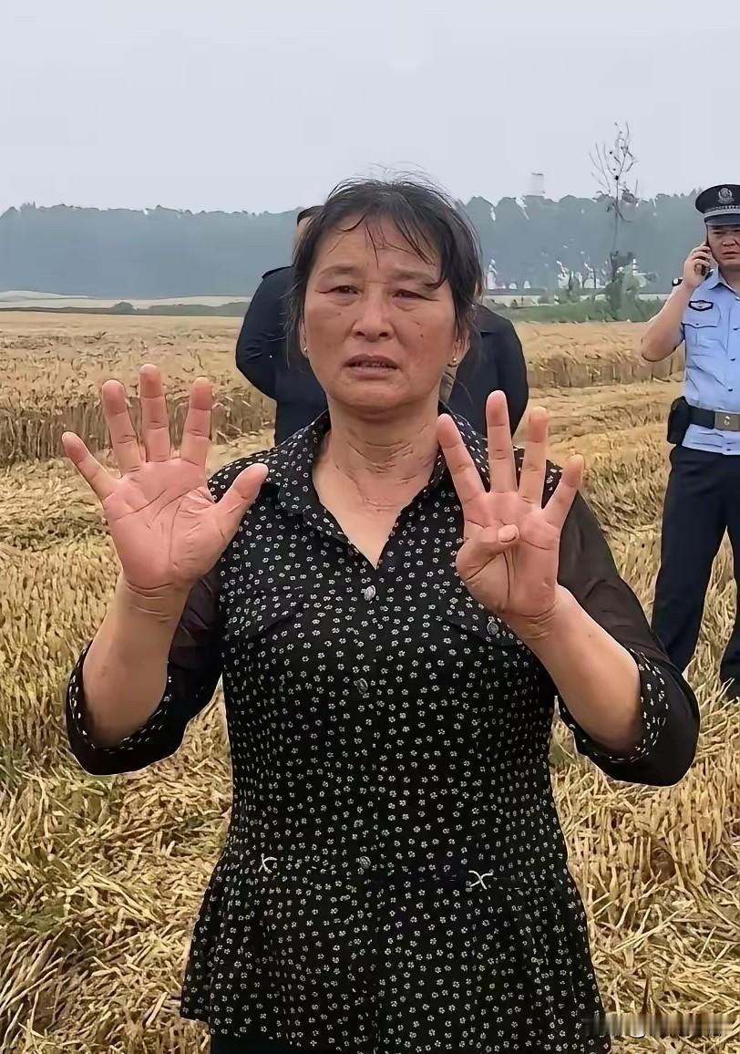 一个大妈的“撒泼”，差点毁了襄阳的名声！襄阳这位“割四赔五”的大妈，真的是凭一己