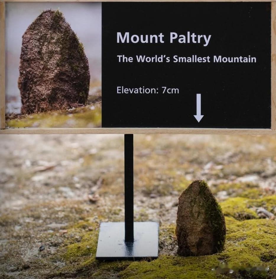 蒙特帕尔特里（Paltry）地处澳大利亚，被誉为全球最小的山。它的海拔极低，仅仅