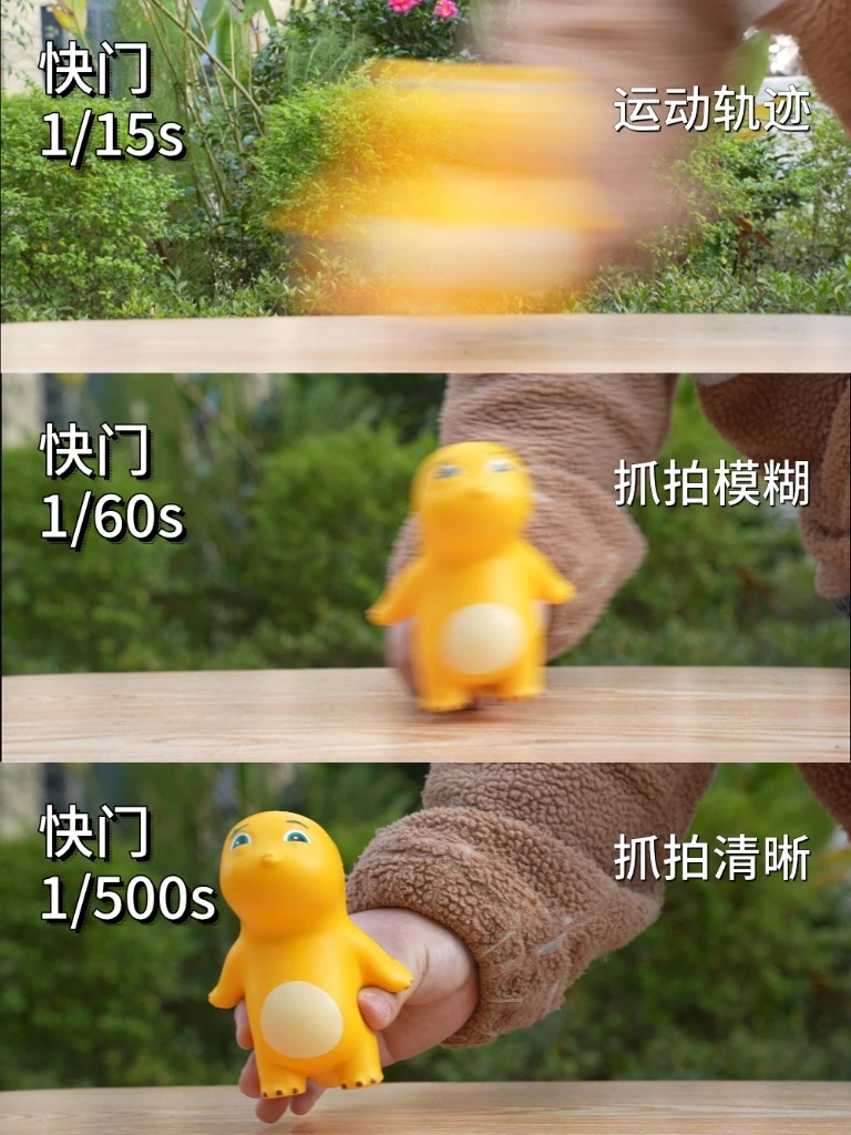 背完这些你的摄影就🐮了！