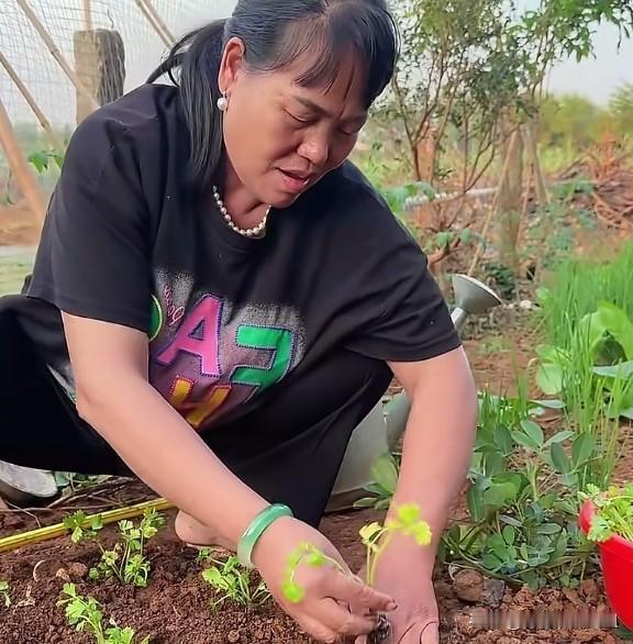 全红婵妈妈休闲日常，种菜务农，低调踏实令人动容。全妈保持农家本色，闲时到菜园松