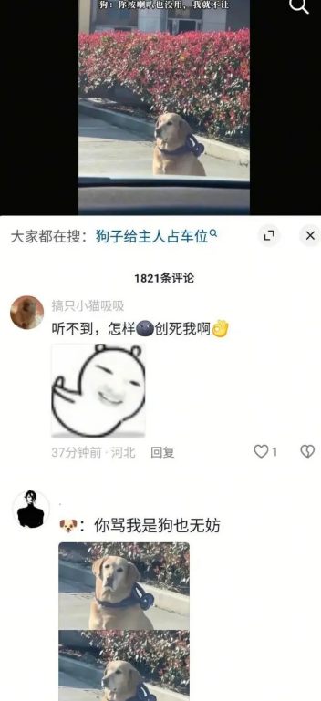 狗子给主人占车位