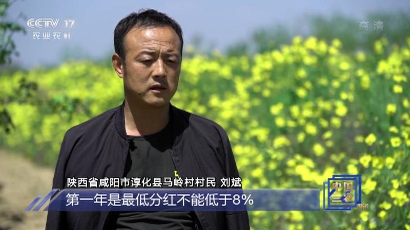 2003年，上门女婿刘斌因意外失去双臂，并丢掉工作，随后又被妻子一家扫地出门。走