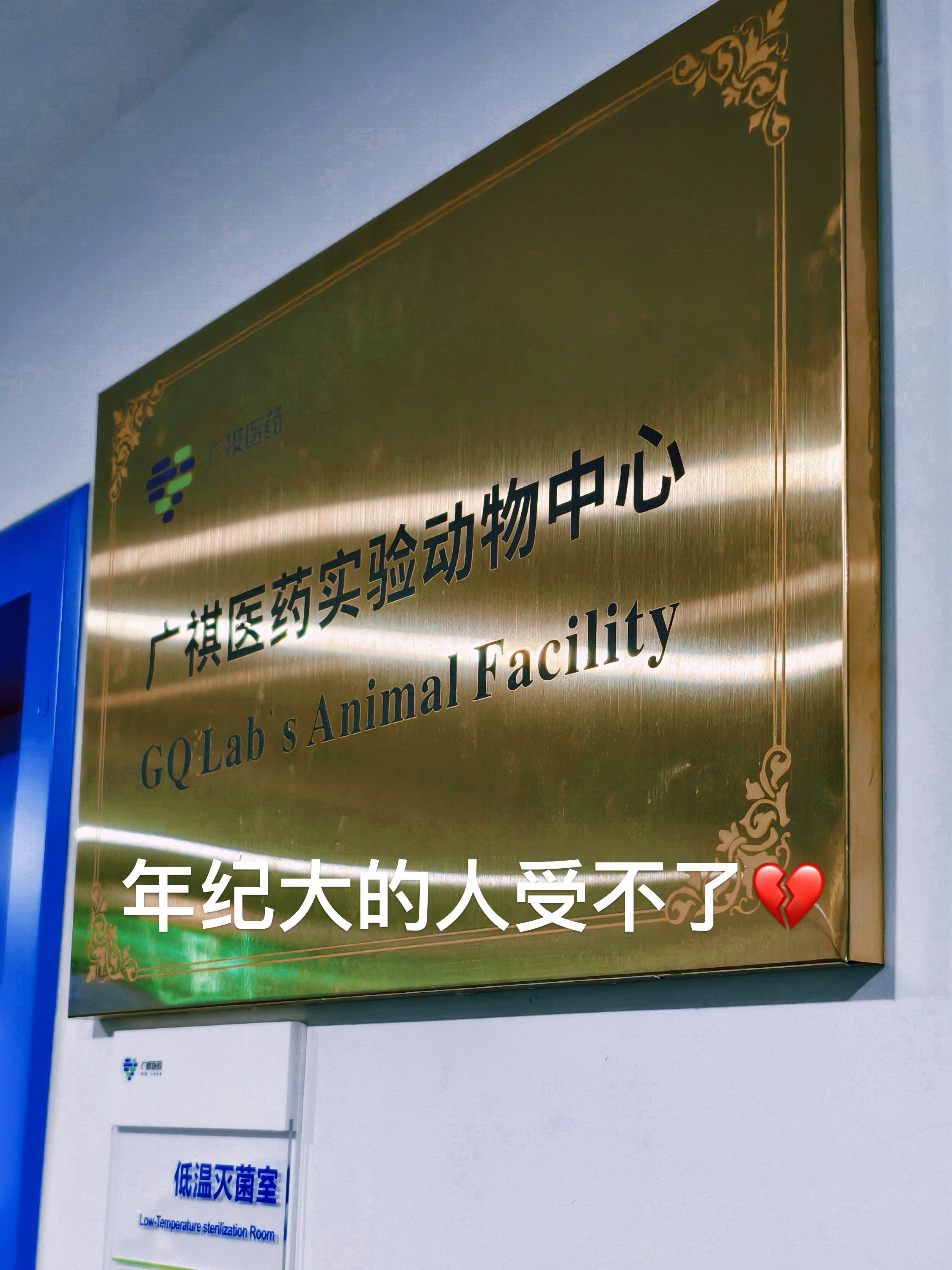 前两天去美药星旗下的宠物线去溯源今天就带着孩子回家也是到了家里时刻有一个行李箱，