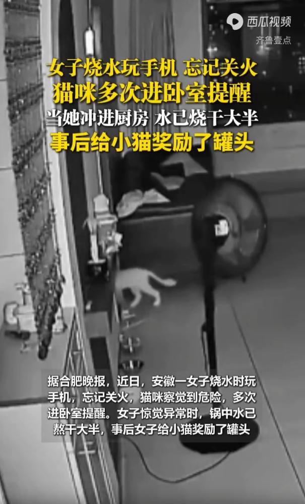 “万物有灵！”安徽，一名女子在厨房烧水后，回到卧室看手机，但一看就忘了时间。家中