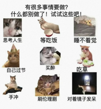 哈哈，忍不住了