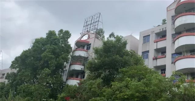 八旬北大毕业生独居广州山中烂尾楼：自己开荒种菜，路上常遇毒蛇马敏庄老人可