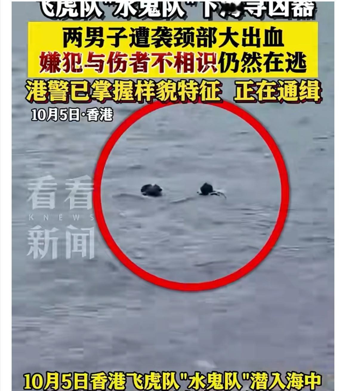 没想到香港红磡海心公园这么个休闲的地方，光天化日之下竟发生这种暴力袭击事件，真是