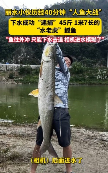 命中注定！”6月10日，浙江丽水，一男子在桥下钓鱼，竟然钓到一条40多斤重的水老