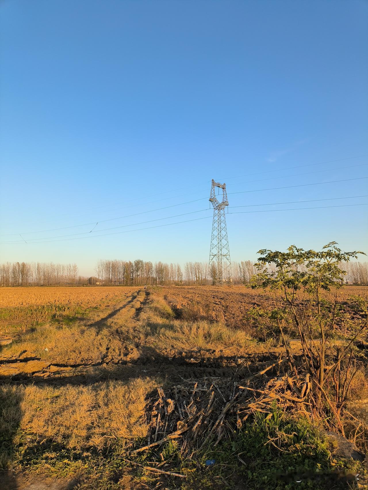 燃烧秸秆，环保还是污染?燃烧秸秆看似有污染之嫌，实际上却是相当环保的！清理垃圾