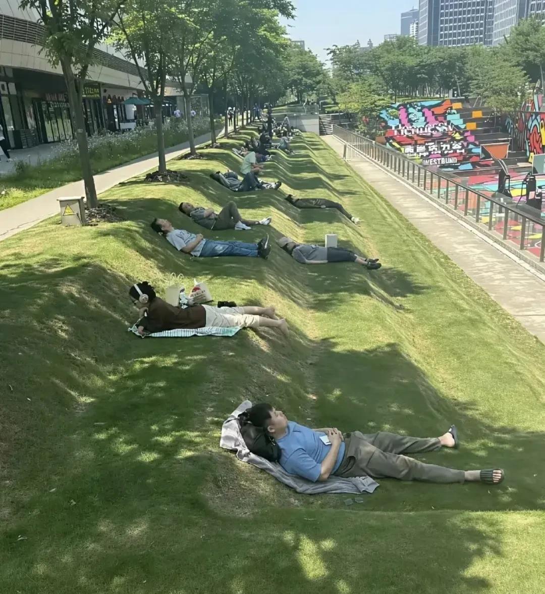 这地方不错，还可以午睡[doge]