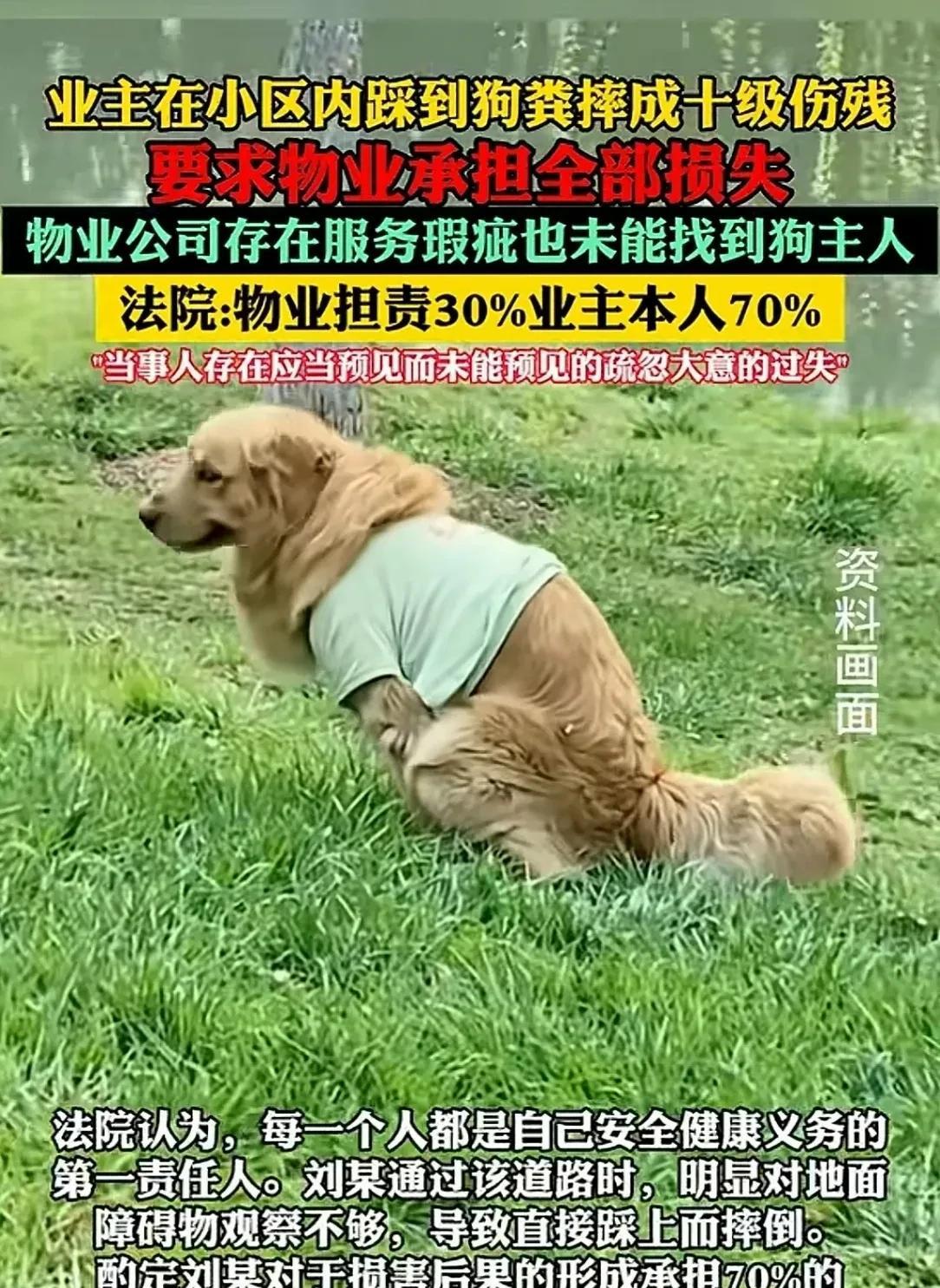 四川江油，男子在小区的人行步道行走，踩到一坨新鲜的狗屎，男子并没因此走狗屎运，而