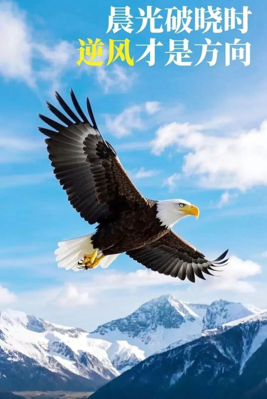 2026年4月23日，各大股吧前十热股:淘股吧:1.金螳螂2.华电辽能3