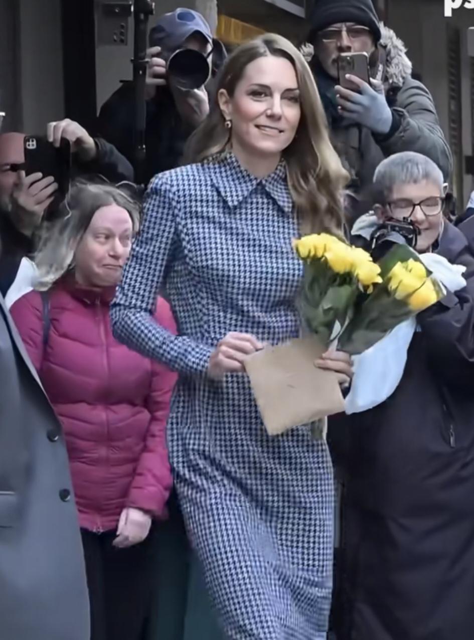 今日，凯特王妃独自一人出席公务，威廉王子没有跟随：她身着蓝色小方格修身连衣裙，长