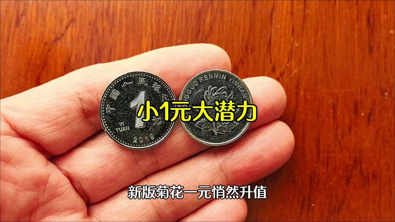 最近发现新版菊花一元硬币开始悄悄升值了，银行还能按面值兑换，喜欢收藏的朋友赶紧行