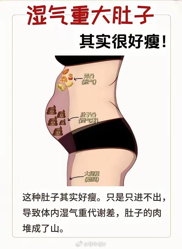 湿气重大肚子，其实很好瘦！减肚子建议：1、有氧运动每天坚持40分钟。燃脂同时促进