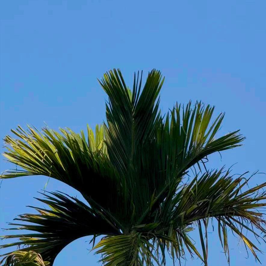 甘肃：执纪审查1人 3月30日，该省执纪审查1人，为兰州的、今年56岁的原官