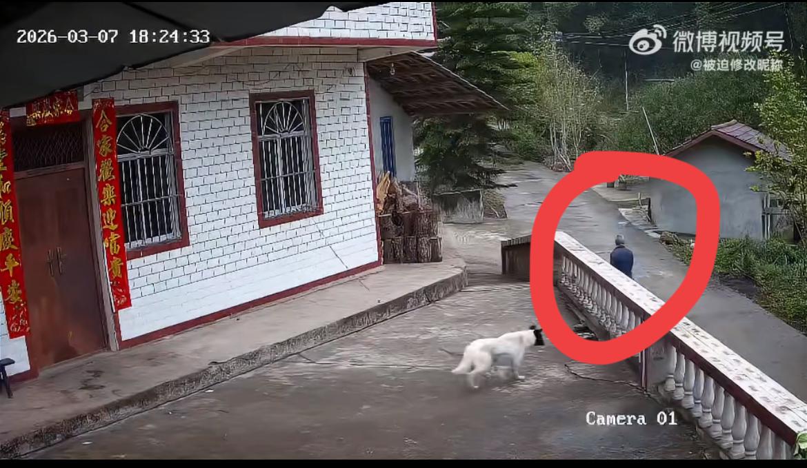女子爆料，家里拴在院子的狗，对着路过的邻居狂吠了几声，邻居折回，拿着棍子狂殴。导